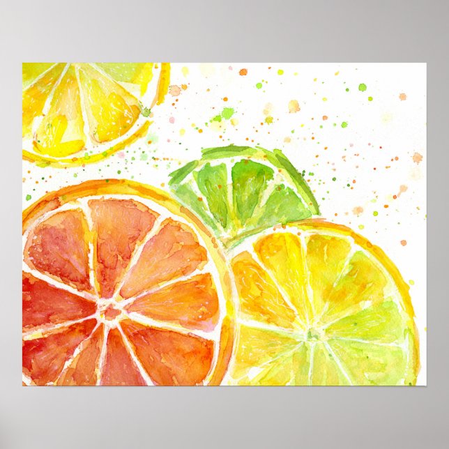Poster Aquarelle de fruits d'agrumes (Devant)