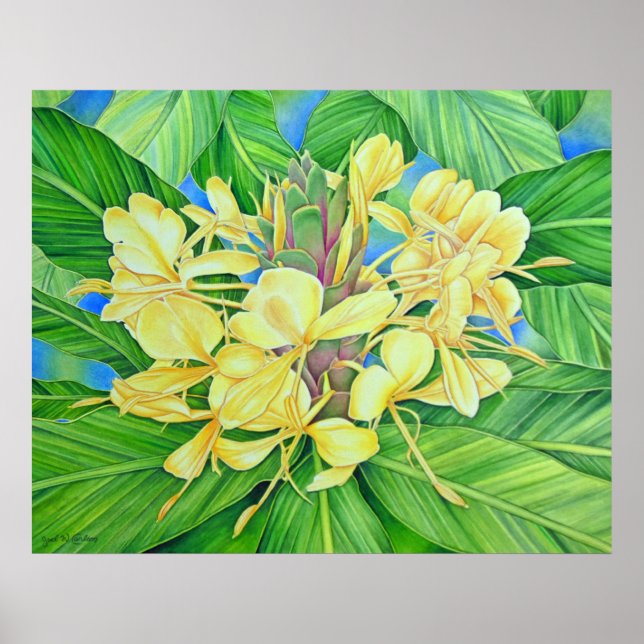 Poster Aquarelle de Ginger jaune (Devant)