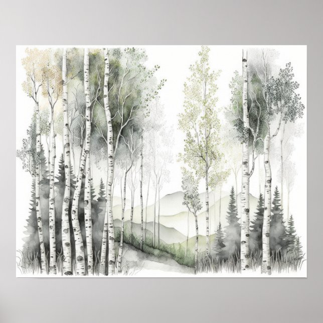 Poster Aquarelle de la forêt de Birch Blanc (Devant)