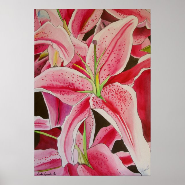Poster Aquarelle de menton rose Stargazer art original (Devant)