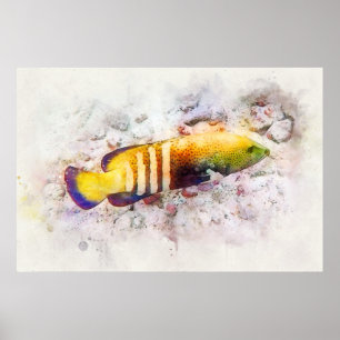 Poster Aquarelle de poisson tropical hawaïen - Groupement