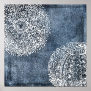 Poster Aquarelle de Sea Urchin Océan bleu blanc bleu mari