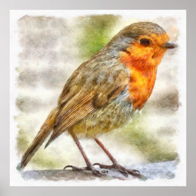 Poster Aquarelle d'hiver Robin de Noël (Devant)