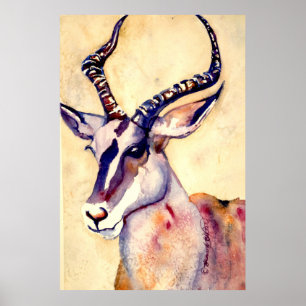 Poster Aquarelle d'impala
