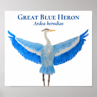 Poster Aquarelle d'oiseau scientifique Grand Héron bleu