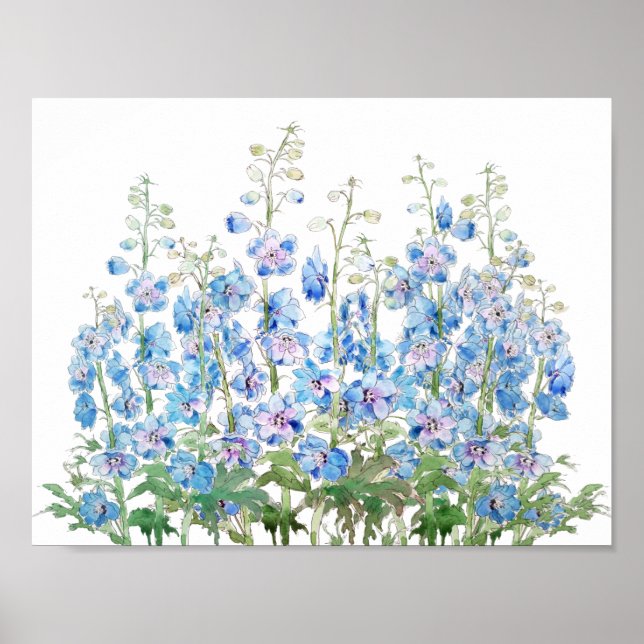 Poster aquarelle du champ de larkspur bleu et violet (Devant)