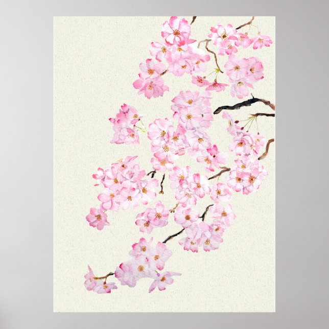 Poster Aquarelle en fleur de cerisier rose 2024 (Devant)