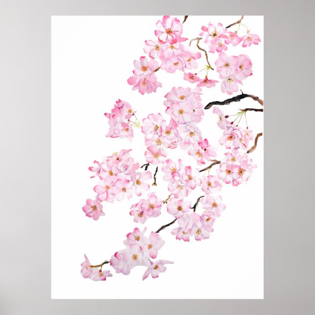 Poster Aquarelle en fleur de cerisier rose 2024 2 (Devant)