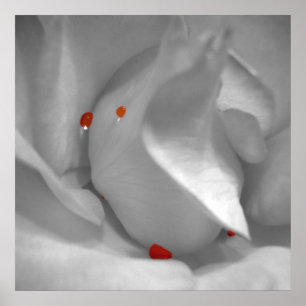 Poster Aquarelle Éolienne Imprimer