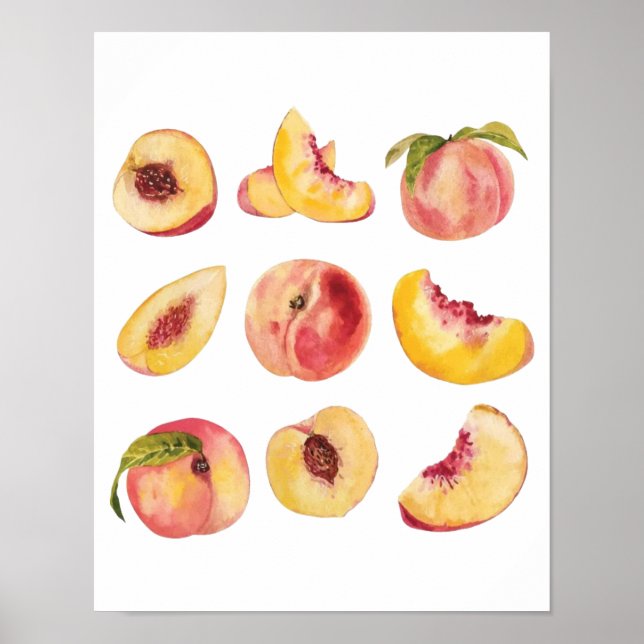 Poster Aquarelle Et Colorés Fraîches De Pêche, (Devant)