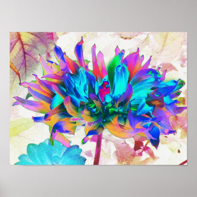 Poster Aquarelle étonnante Rainbow Cactus Dahlia (Devant)