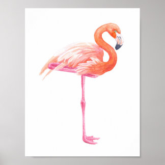 Poster aquarelle Flamant rose