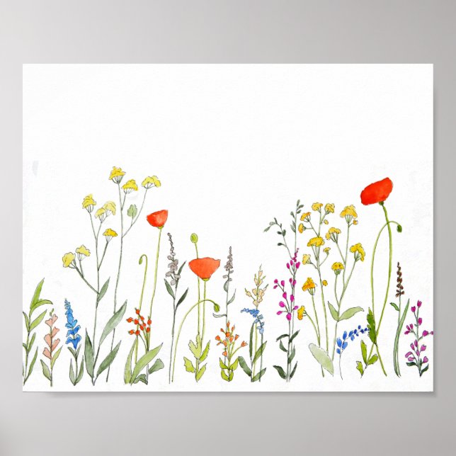 Poster Aquarelle fleur sauvage (Devant)