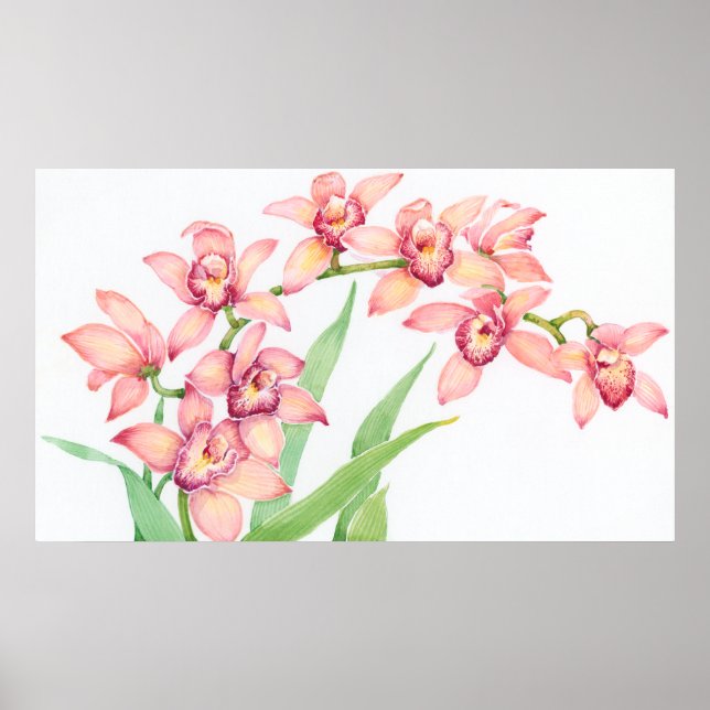Poster Aquarelle Fleurs roses (Devant)