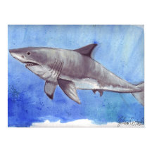 Aquarelle Grand requin blanc