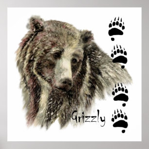 Poster Aquarelle Grizzli Ours Faune Nature Art
