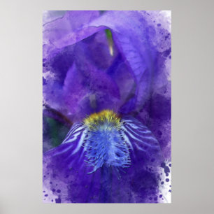 Poster Aquarelle Iris Flower Purple