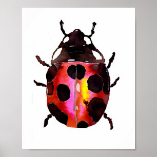 Poster Aquarelle Ladybug
