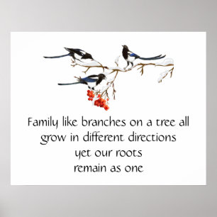 Poster Aquarelle Magpie Famille Citation Animal Nature