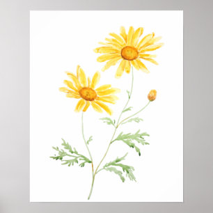 Poster Aquarelle marguerite jaune