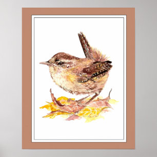 Poster Aquarelle mignonne Oiseau Wren, Nature, Jardin ani
