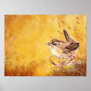 Poster Aquarelle mignonne Peinture d'oiseaux Wren