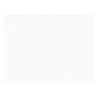 Aquarelle moderne Couples Douche Eucalyptus Feuill