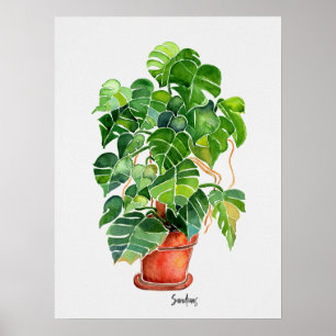 Poster Aquarelle Monstera Plante en pot