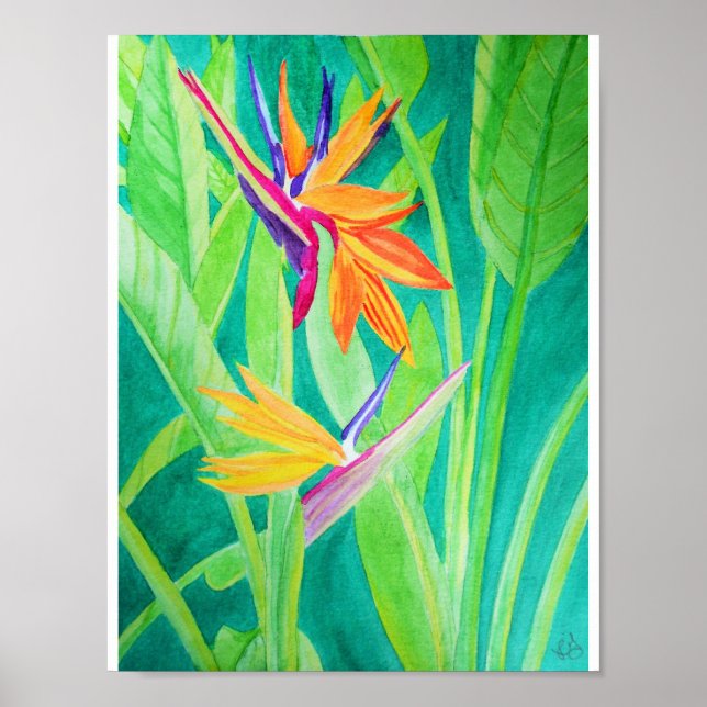 Poster Aquarelle Oiseau de fleurs paradisiaques (Devant)
