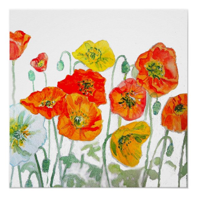 Poster Aquarelle orange rouge jaune cushion blanc (Devant)
