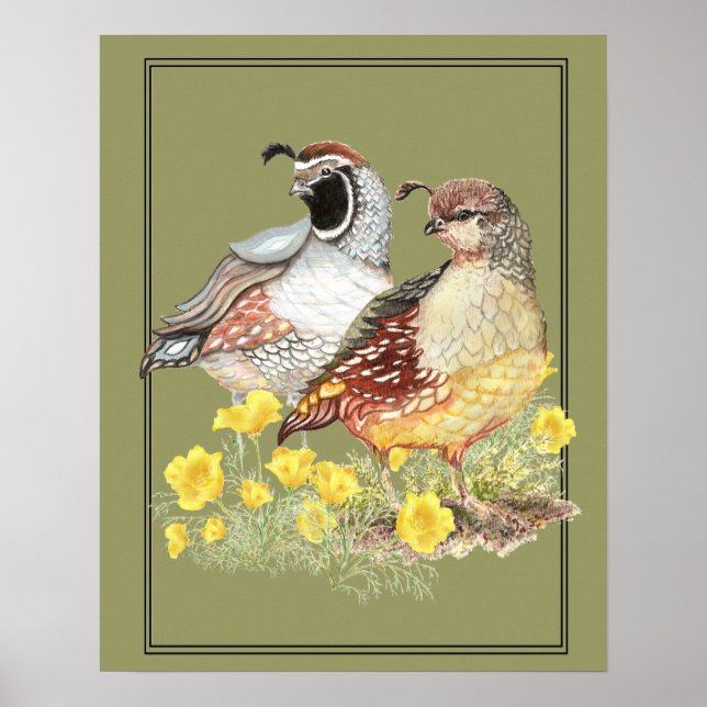 Poster Aquarelle originale Californie Quail Homme & Femme (Devant)