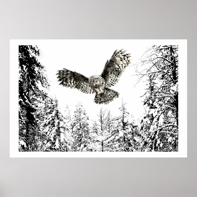 Poster Aquarelle originale Frappe ou Chasse Chouette Oise (Devant)