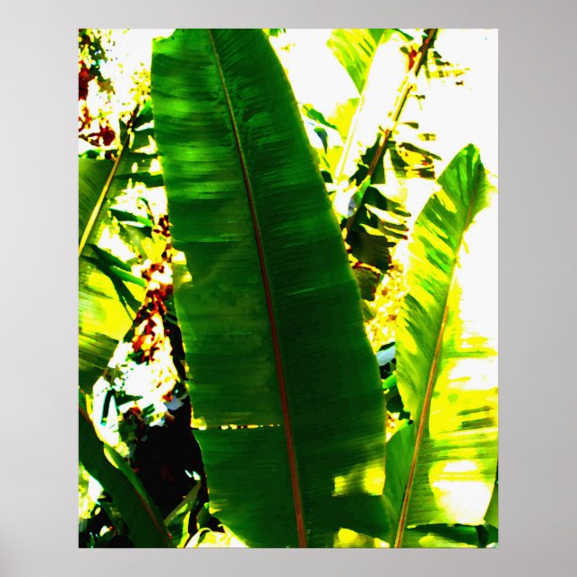 Poster Aquarelle Palm (Devant)