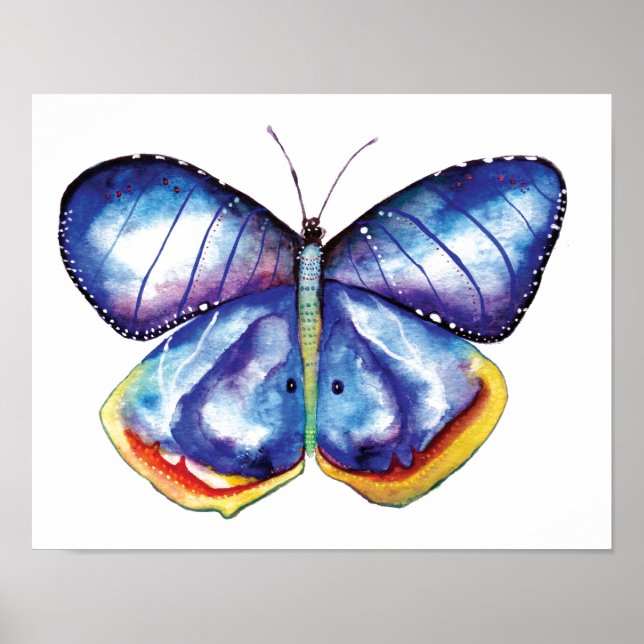 Poster Aquarelle Papier d'affiche de valeur papillon Impr (Devant)