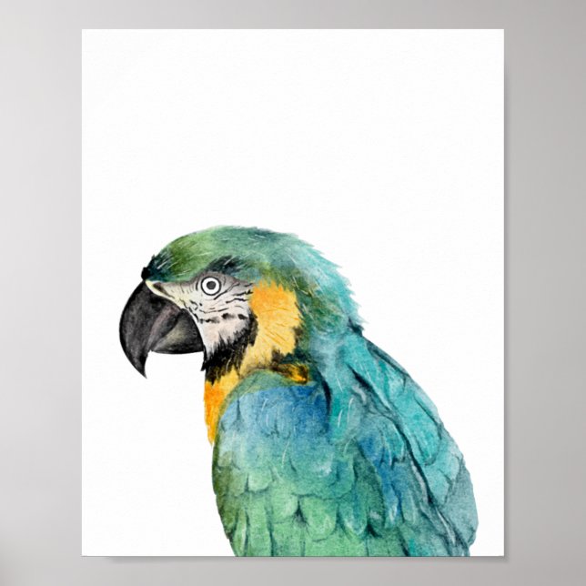 Poster Aquarelle Parrot Oiseau Bleu Or Macaw (Devant)