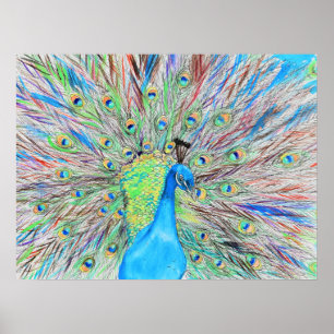 Poster Aquarelle Peacock peinture