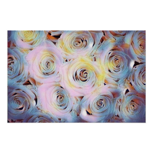Poster Aquarelle Peinture de roses violets roses (Devant)