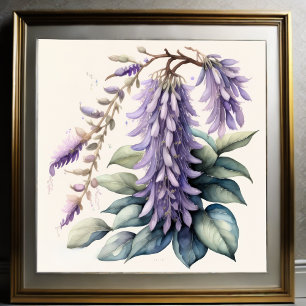 Poster Aquarelle Peinture de Wisteria