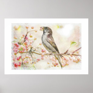 Poster Aquarelle Peinture des Berries mangeant du Bruant