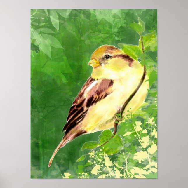 Poster Aquarelle Peinture d'Oiseau du Bruant dans l'arbre (Devant)