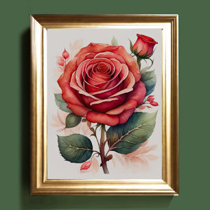 Poster Aquarelle Peinture d'un Rose Rouge II