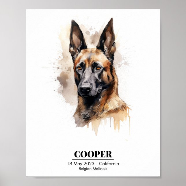 Poster Aquarelle personnalisable Peinture de Malinois (Devant)