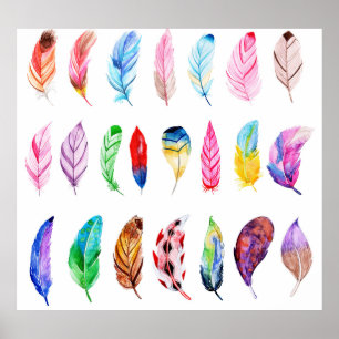 Poster Aquarelle Plumes : Belle Collection Vintage.