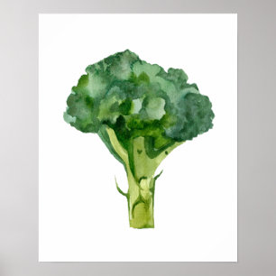 Poster Aquarelle Radis organique