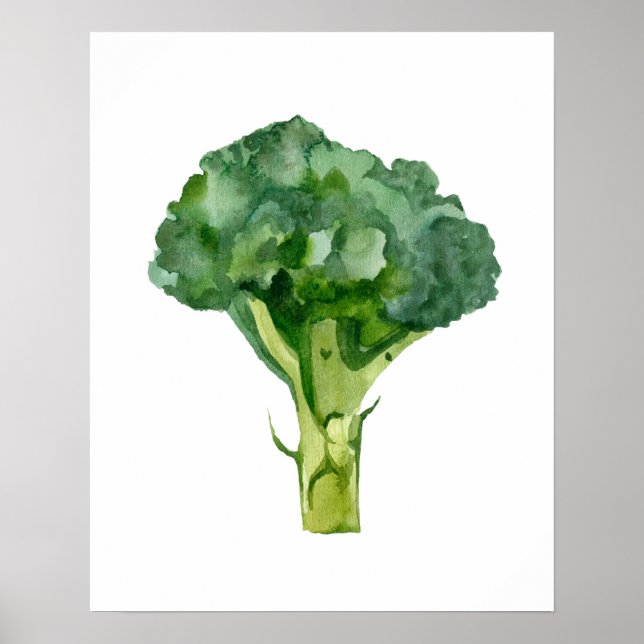 Poster Aquarelle Radis organique (Devant)