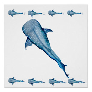Poster Aquarelle requin