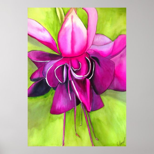 Poster Aquarelle rose Fuchsia (Devant)