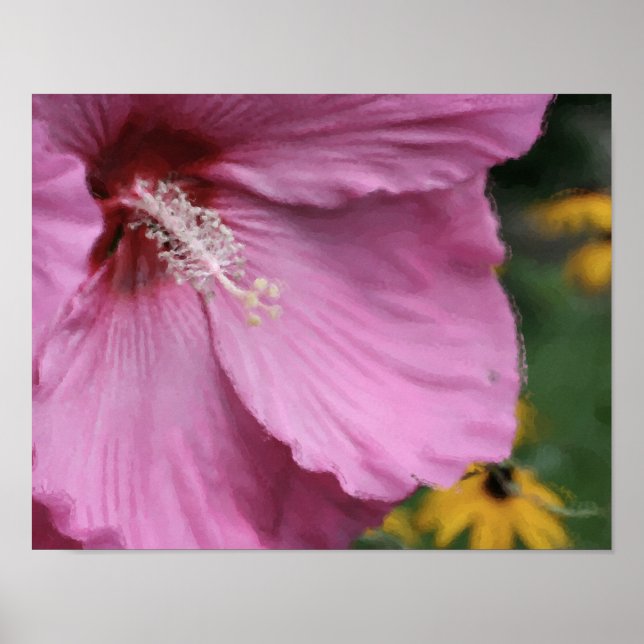Poster Aquarelle rose Hibiscus (Devant)