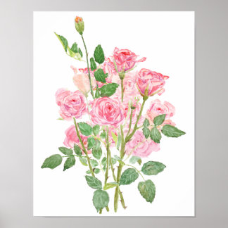 Poster aquarelle rose rose peinte à la main