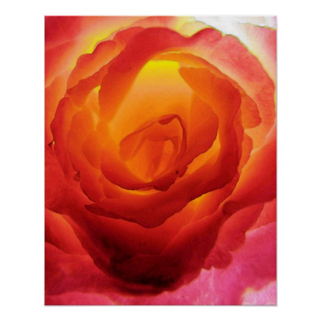 Poster Aquarelle Rose rouge et jaune fière (Devant)